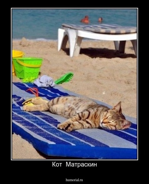 Кот  Матраскин