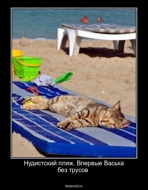 Нудистский пляж. Впервые Васька без трусов
