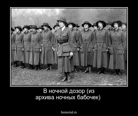 В ночной дозор (из архива ночных бабочек)