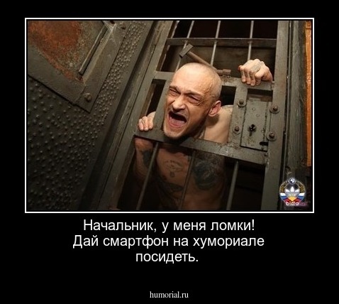 Начальник, у  меня ломки! Дай смартфон на хумориале  посидеть.