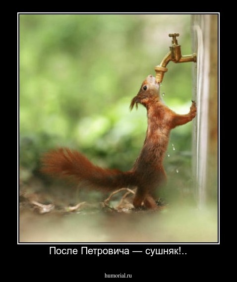 После Петровича — сушняк!..