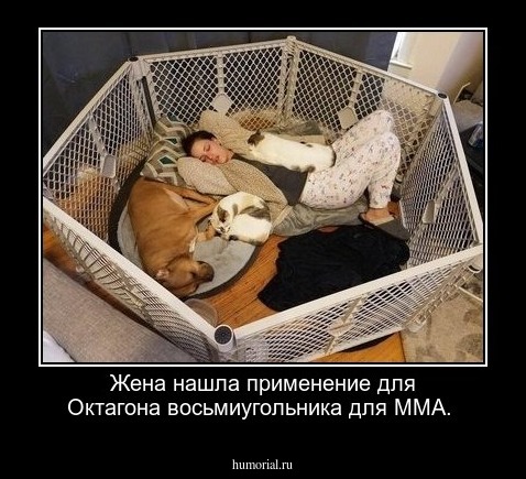 Жена нашла применение для Октагона восьмиугольника для ММА.