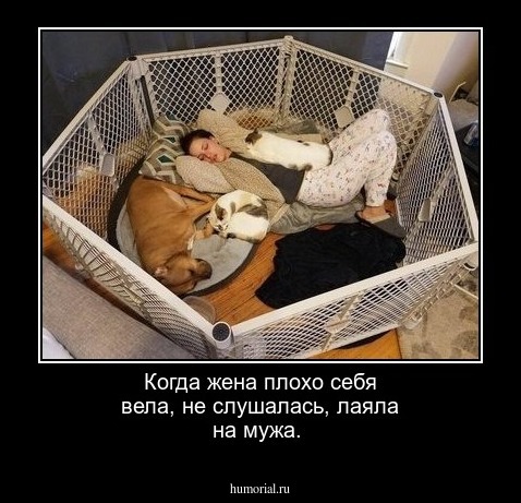 Когда жена плохо себя вела, не слушалась, лаяла на мужа.