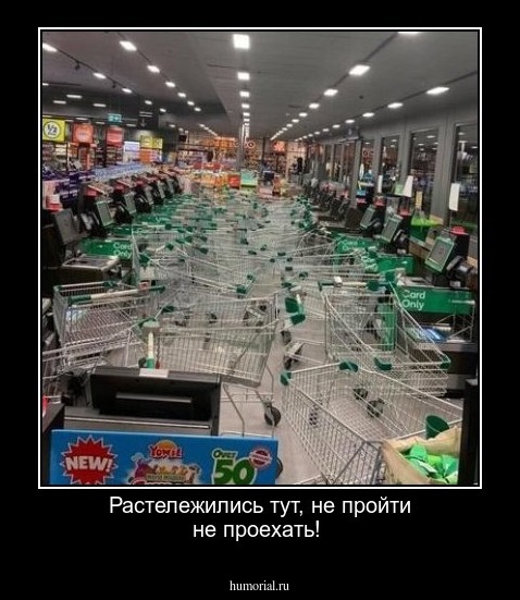 Растележились тут, не пройти не проехать!
