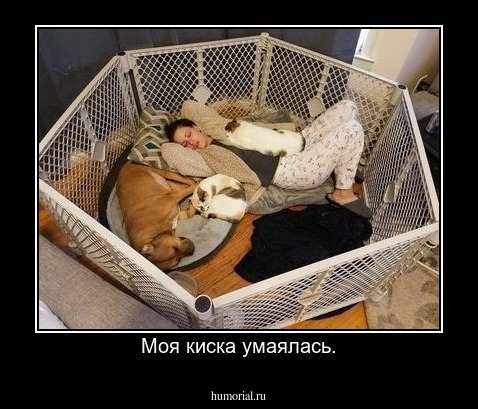 Моя киска умаялась.