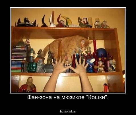 Фан-зона на мюзикле "Кошки".