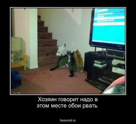 Хозяин говорит надо в этом месте обои рвать