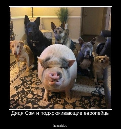 Дядя Сэм и подхрюкивающие европейцы