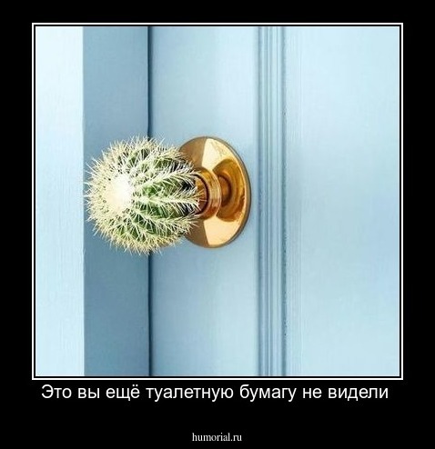 Это вы ещё туалетную бумагу не видели 