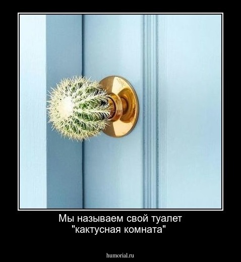 Мы называем свой туалет "кактусная комната"