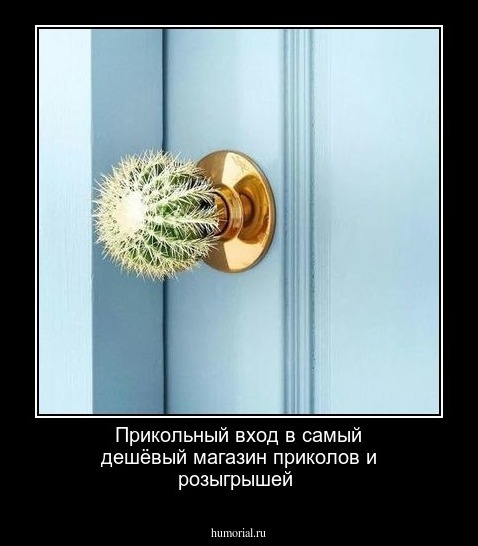 Прикольный вход  в  самый дешёвый магазин приколов и розыгрышей 
