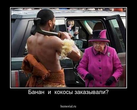Банан  и  кокосы заказывали?