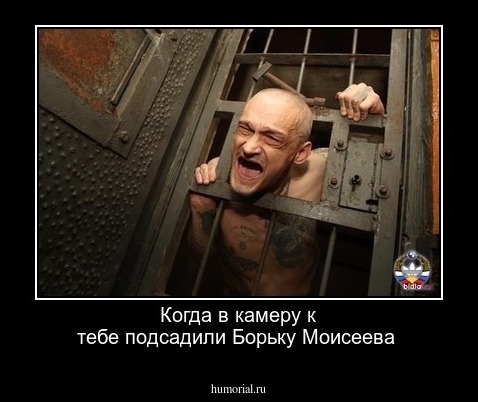 Когда в камеру к тебе подсадили Борьку Моисеева