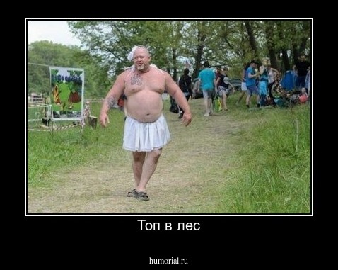 Топ в лес