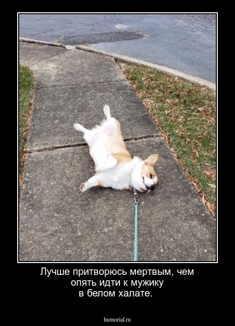 Лучше притворюсь мертвым, чем опять идти к мужику в белом халате.