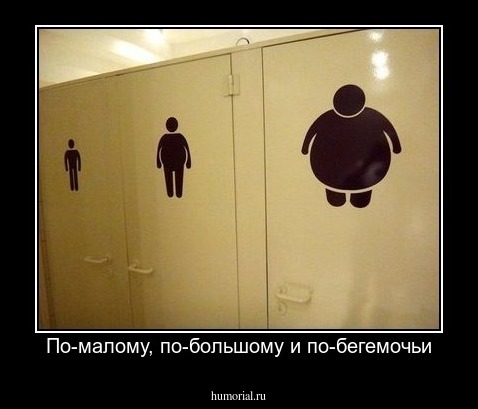 По-малому, по-большому и по-бегемочьи