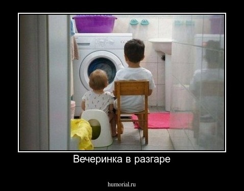 Вечеринка в разгаре