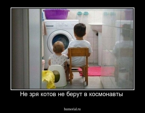Не зря котов не берут в космонавты 