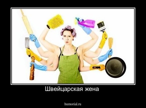 Швейцарская жена 