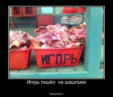 Игорь пошёл  на шашлыки