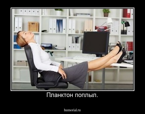 Планктон поплыл.