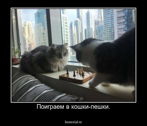 Поиграем в кошки-пешки.