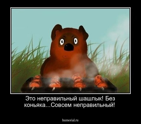 Это неправильный шашлык!  Без  коньяка...Совсем неправильный!
 