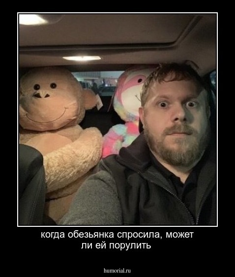 когда обезьянка спросила, может ли ей порулить