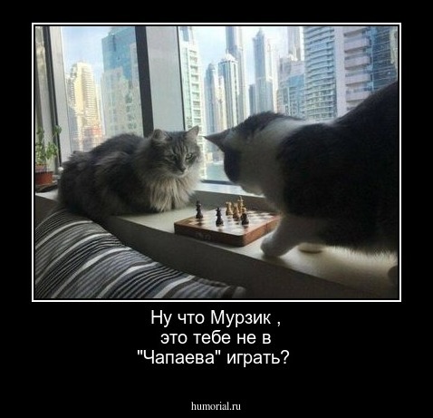 Ну  что Мурзик , это  тебе  не  в  "Чапаева"  играть?