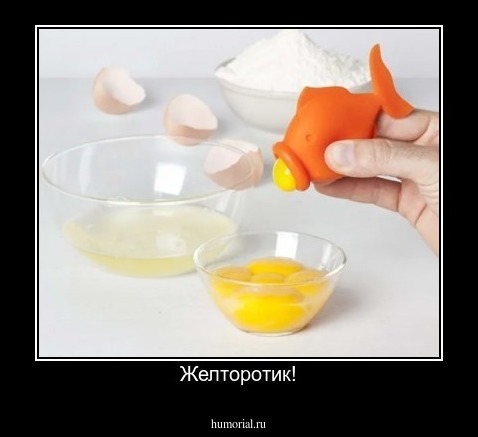 Желторотик!