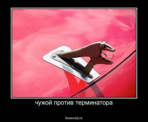 чужой против терминатора