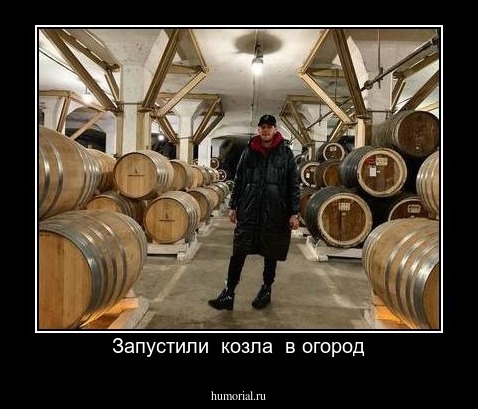 Запустили  козла  в огород