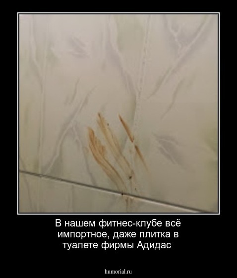 В нашем  фитнес-клубе  всё импортное, даже     плитка  в туалете  фирмы Адидас