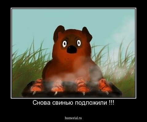  Снова свинью подложили !!!