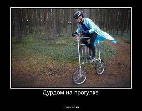 Дурдом на прогулке