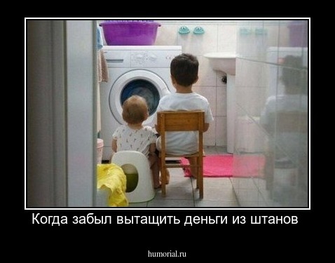 Когда забыл вытащить деньги из штанов 