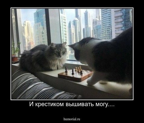 И крестиком вышивать могу....