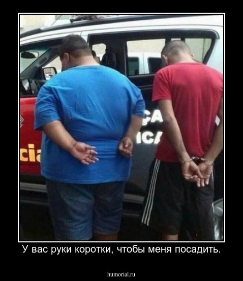 У вас руки коротки, чтобы меня посадить.