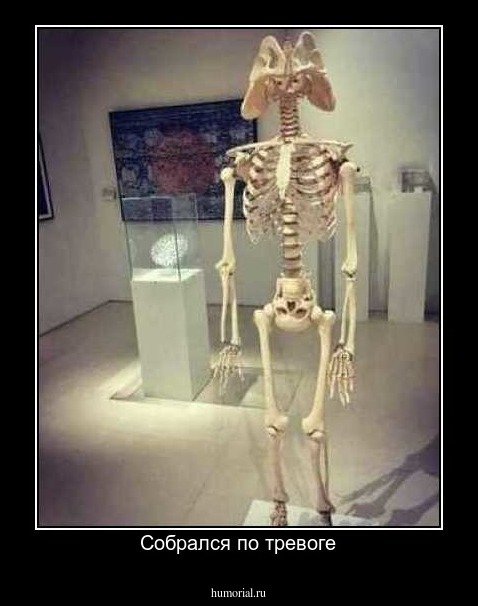 Собрался по тревоге