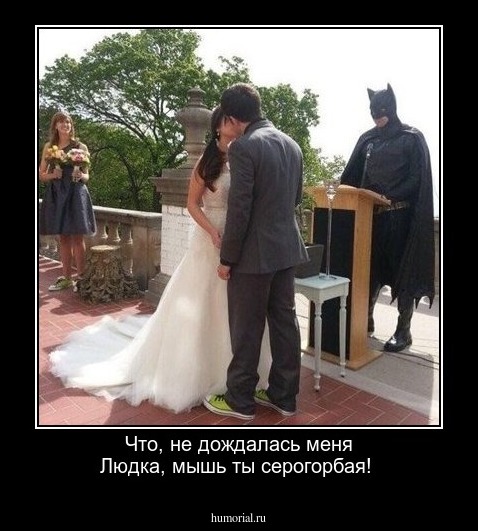 Что, не дождалась меня Людка, мышь ты серогорбая!