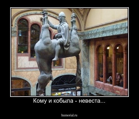 Кому и кобыла - невеста...