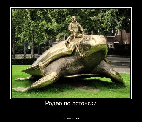 Родео по-эстонски