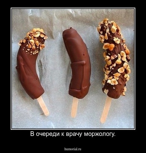 В очереди к врачу моржологу.