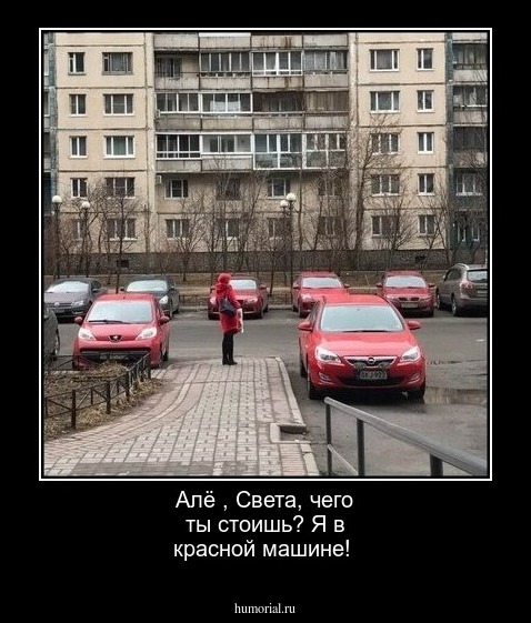 Алё , Света, чего  ты  стоишь?  Я  в  красной машине!