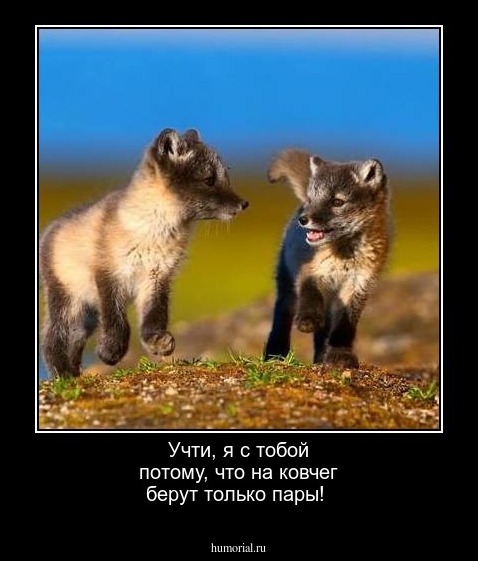 Учти,  я с  тобой  потому, что на ковчег берут только пары!