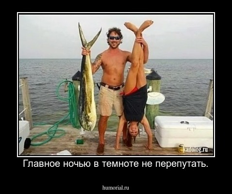Главное ночью в темноте не перепутать.