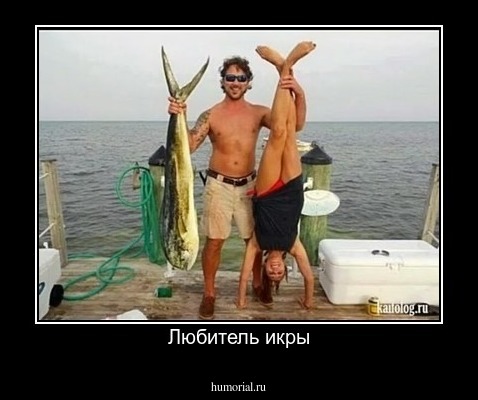 Любитель икры