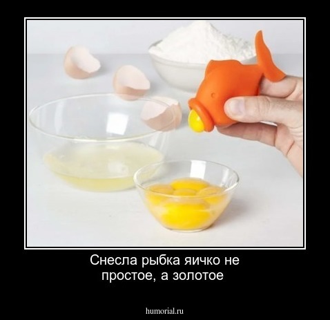Снесла рыбка  яичко не простое,  а золотое