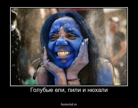 Голубые ели, пили и нюхали