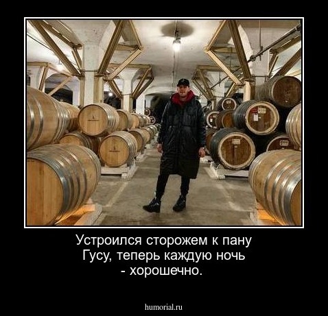 Устроился сторожем к пану Гусу, теперь каждую ночь - хорошечно.